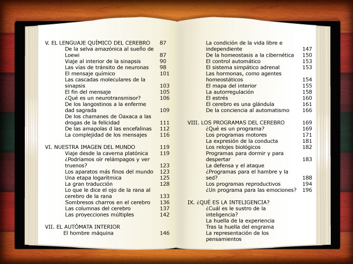 El Universo Interior Hugo Arechiga.pdf ((NEW)) resumen_ind2